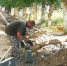 97b64c89-1d35-4ebc-be5d-57f7b7bda9ea - Яровские вести