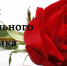 С Днем дошкольного работника! - Комитет по образованию