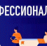 maxresdefault - Яровские вести
