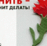 a12a5d59-6357-5330-8058-e6840ddd2a43 - Яровские вести